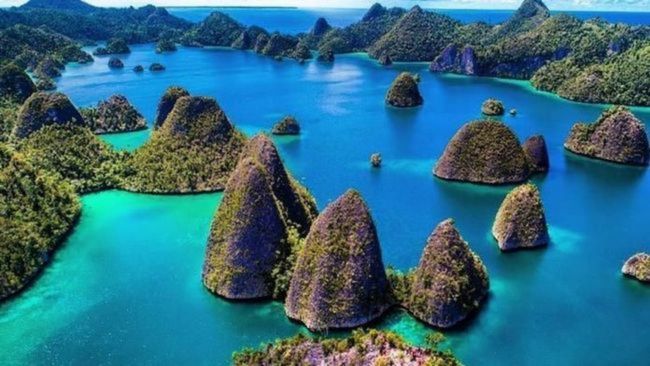 Wisata Alam di Raja Ampat: Surga Bawah Laut yang Tidak Tertandingi