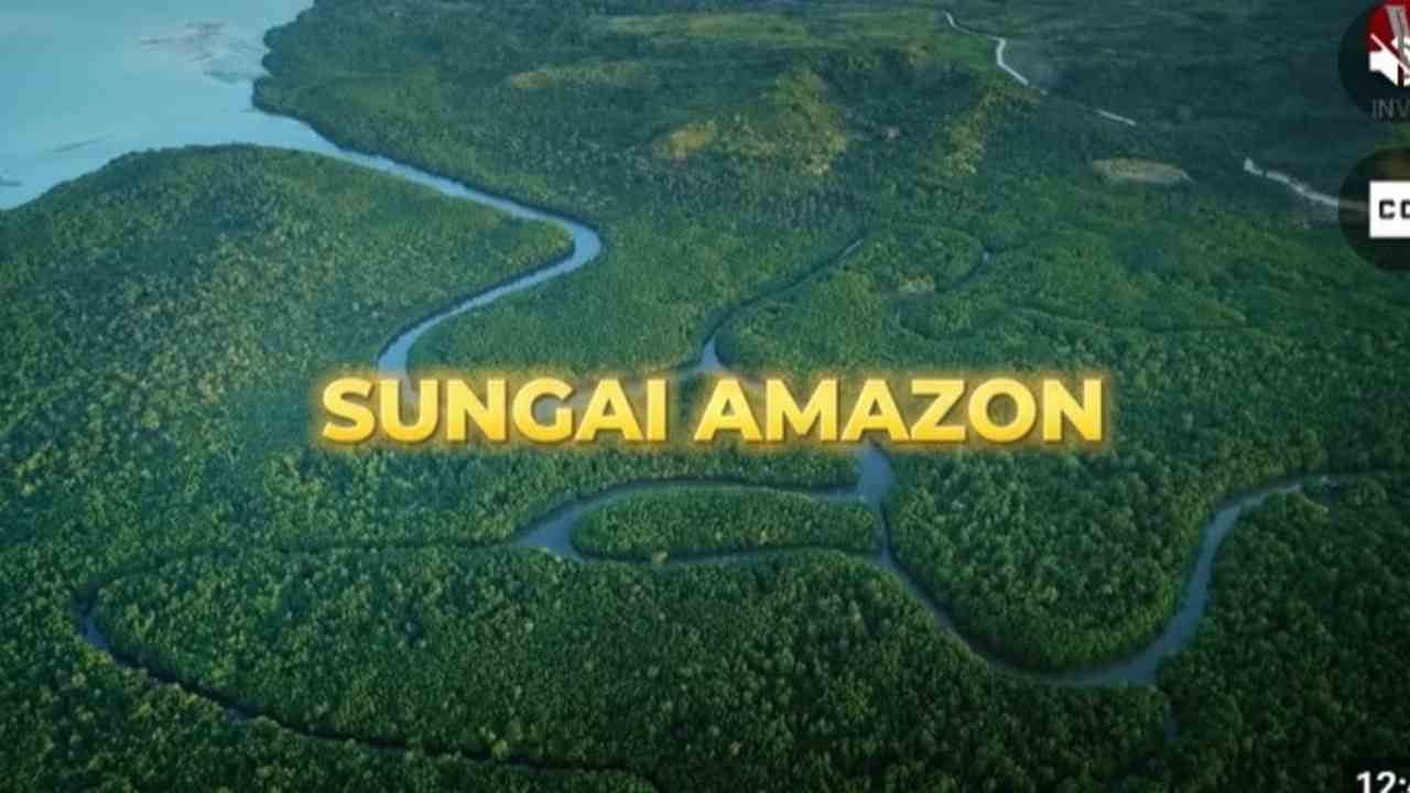 Menyusuri Keindahan Sungai Amazon dan Hutan Hujan di Brasil